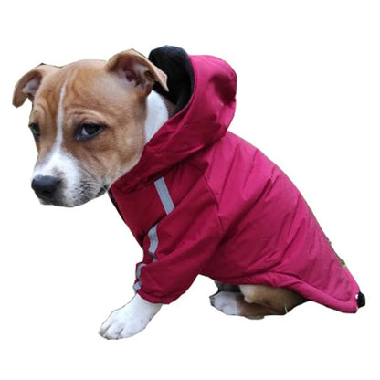 Autumn Winter Pet Dog Waterproof Warm Coat Cotton Hooded Jacket the Dog Face Small Dogs Cat Reflective Pet Clothes Winter Coat